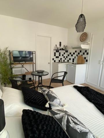 Appartements Pyrenees-Barthou Pau Ngoại thất bức ảnh