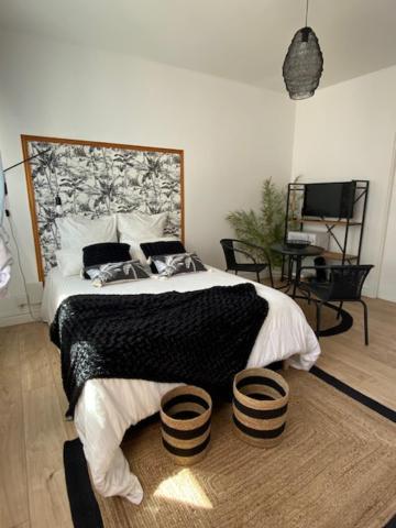 Appartements Pyrenees-Barthou Pau Ngoại thất bức ảnh